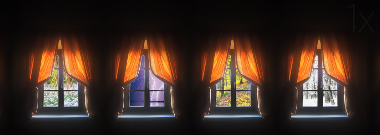 4Seasons Poster och Canvastavla