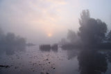 Foggy morning Poster och Canvastavla