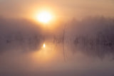 Marshland Sunrise Poster och Canvastavla