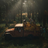 Date Harvest Season Poster och Canvastavla