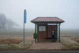 In the countryside Poster och Canvastavla