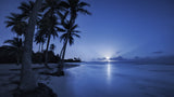 Tropical Moonrise Poster och Canvastavla