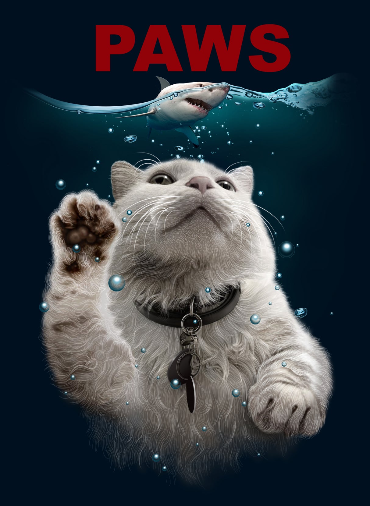 PAWS Poster och Canvastavla
