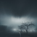 Alone Poster och Canvastavla