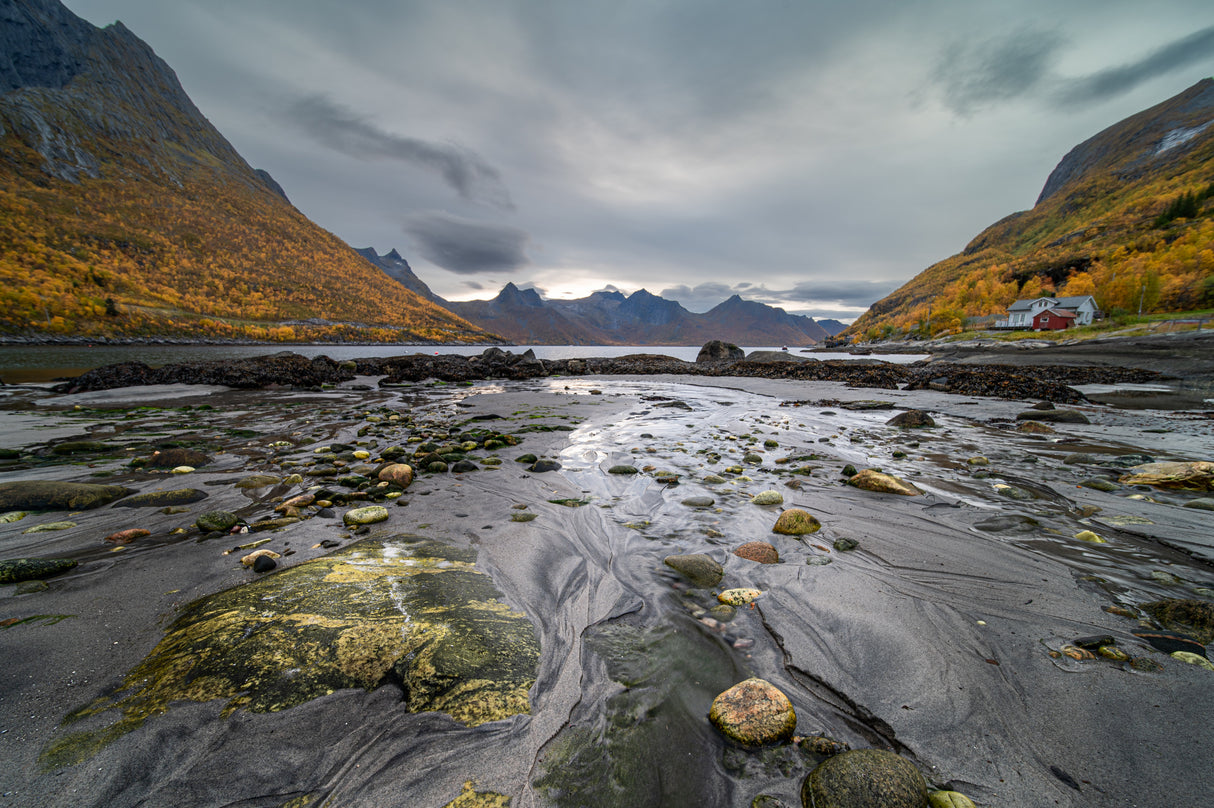 Water always runs to the sea Poster och Canvastavla