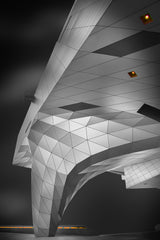 Musée des Confluences Poster och Canvastavla