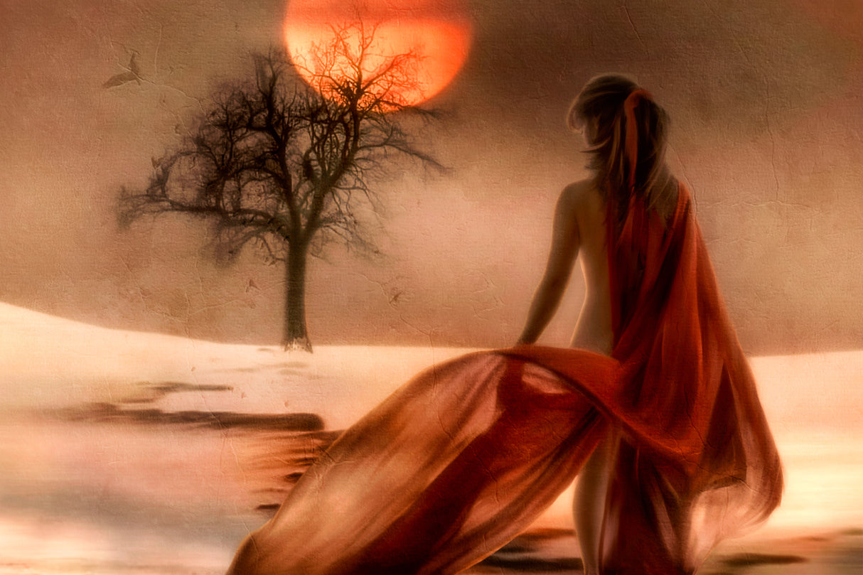 ...like the sun through the trees you came to love me.. Poster och Canvastavla