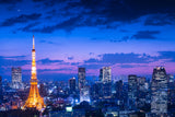 Tokyo night view Poster och Canvastavla
