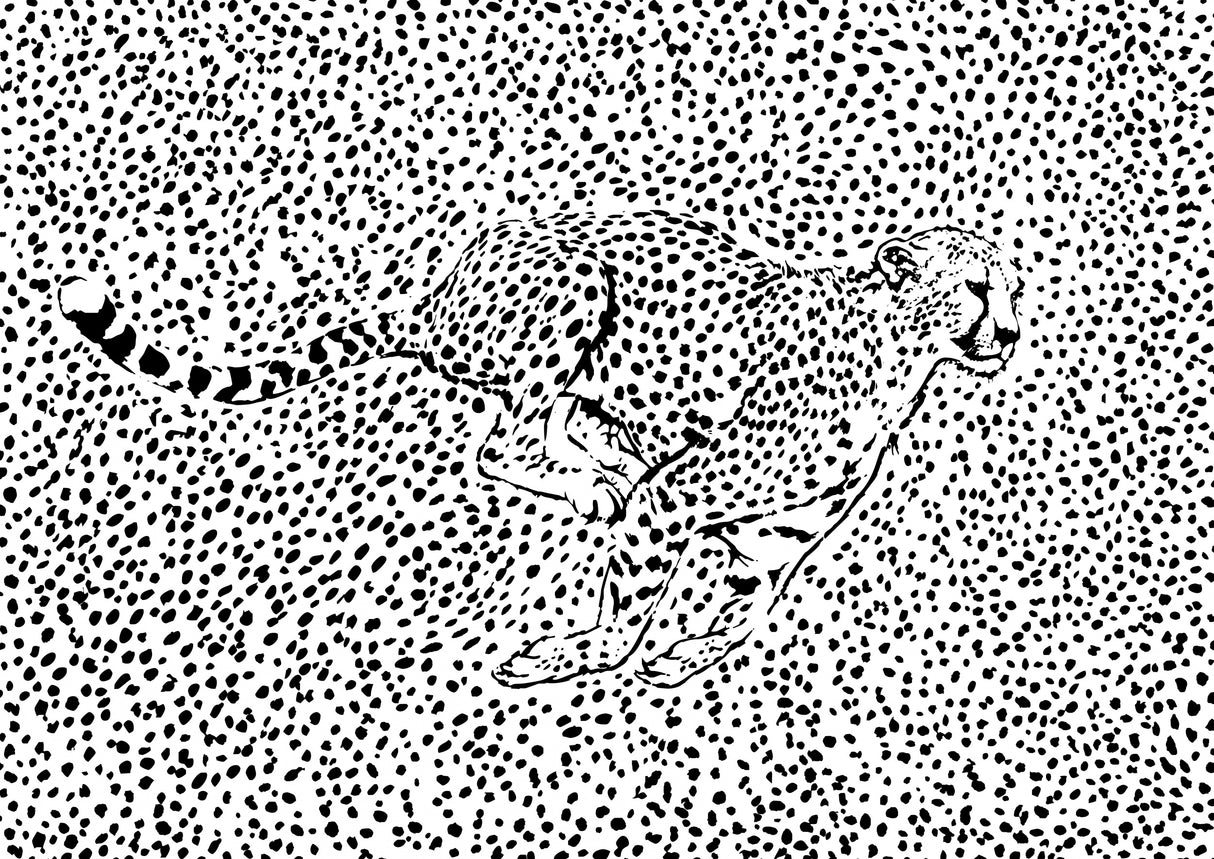 Cheetah Full Sprint Poster och Canvastavla