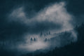 fog Poster och Canvastavla