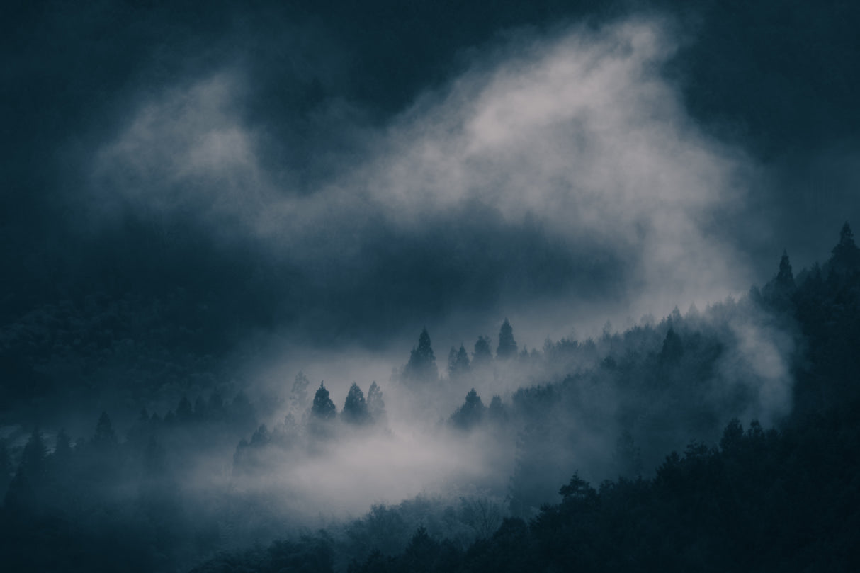 fog Poster och Canvastavla