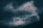 fog Poster och Canvastavla