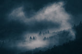 fog Poster och Canvastavla