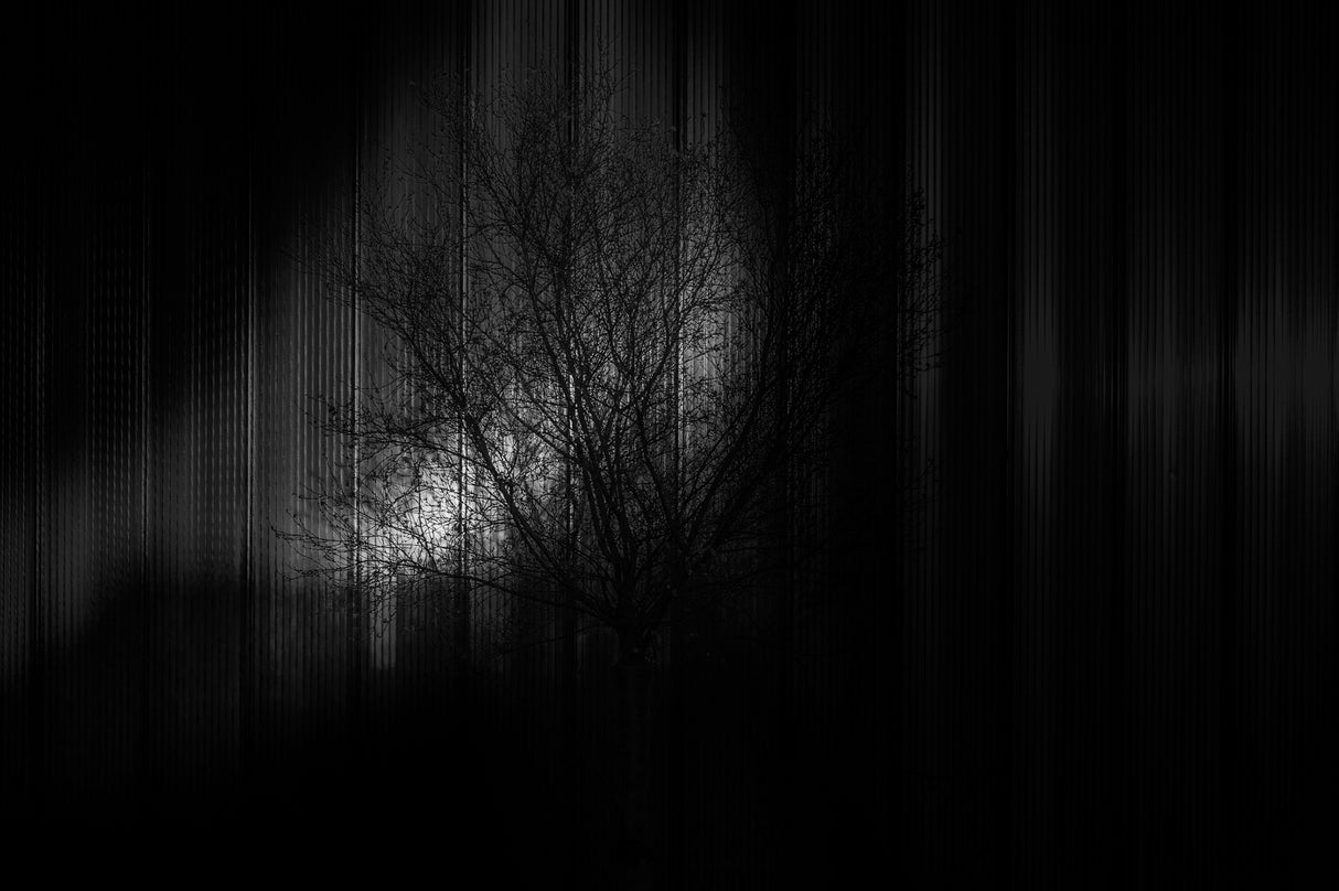 Traces of light  2 Poster och Canvastavla