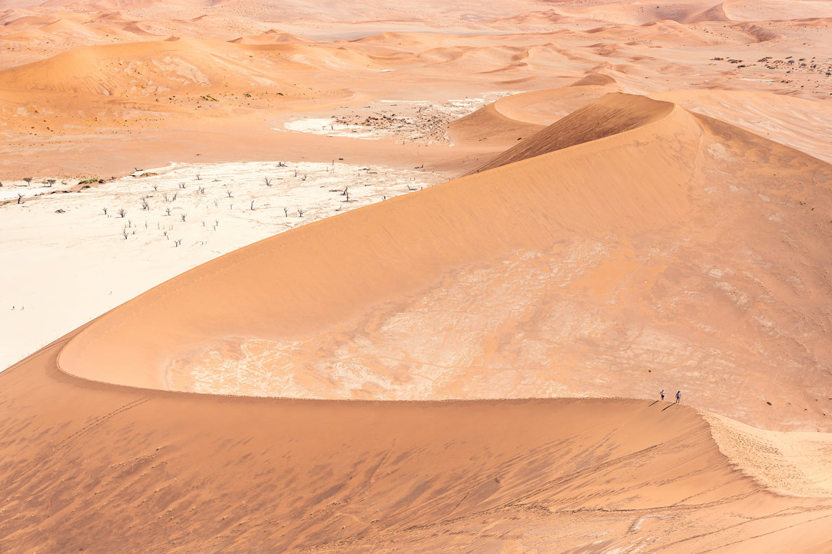 Lost souls in the sand dune Poster och Canvastavla