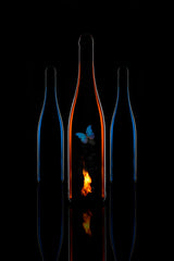 Fire&amp;you Poster och Canvastavla