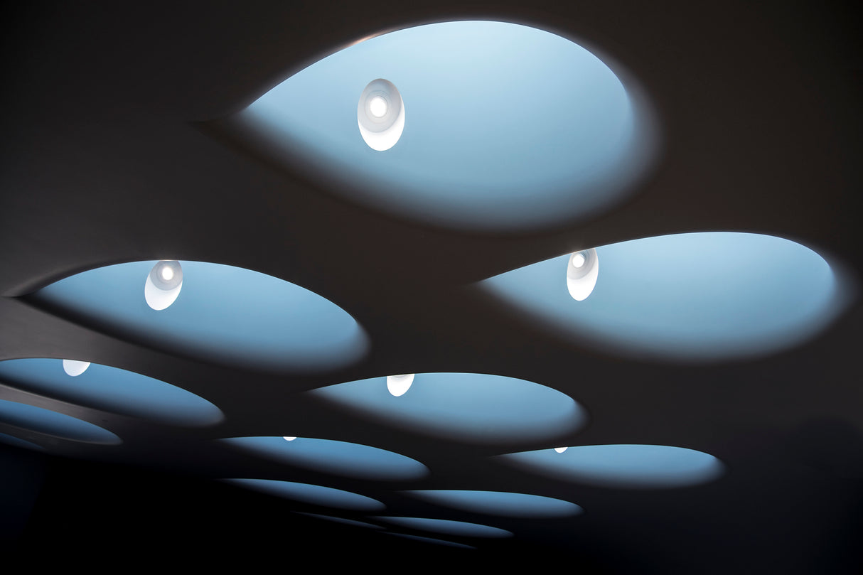 eyes in the sky Poster och Canvastavla
