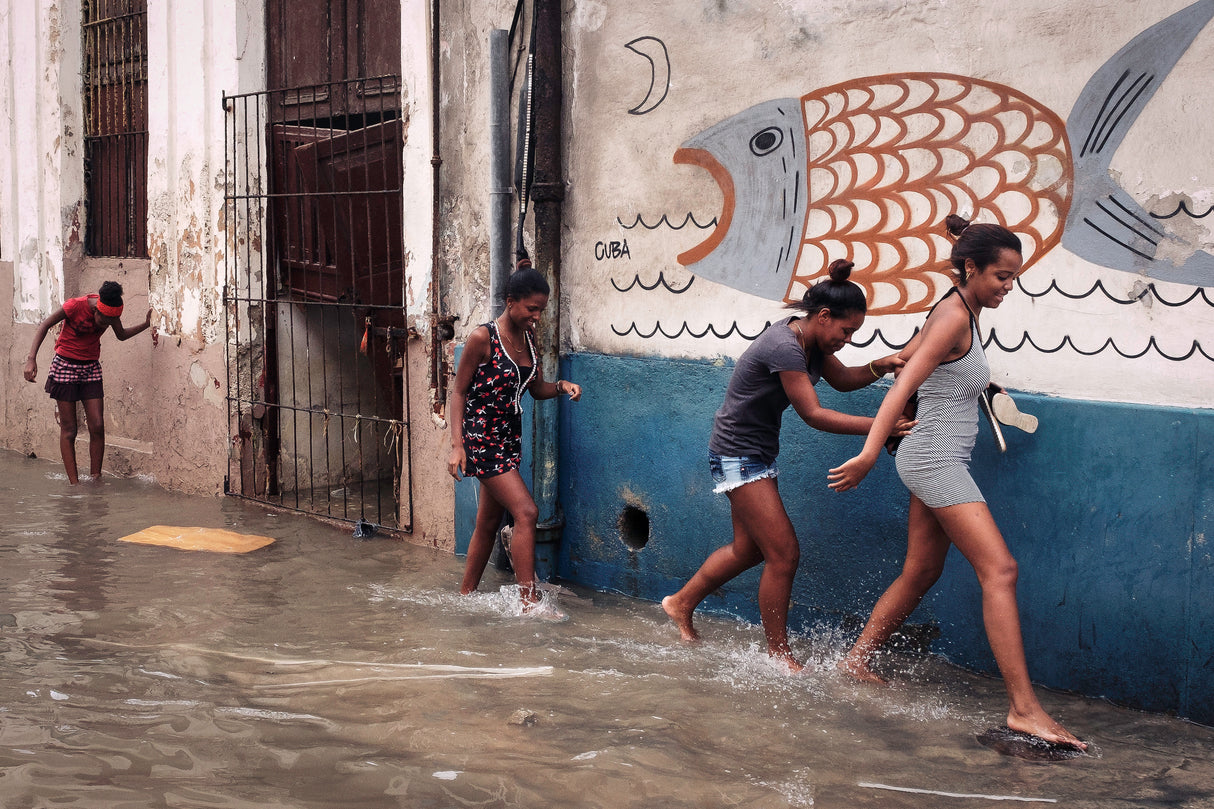 Flooding Havana Poster och Canvastavla