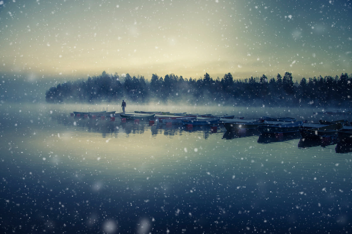 Winter is coming. Poster och Canvastavla