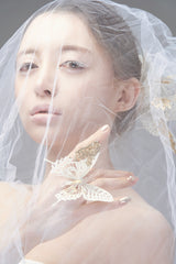 Rebirth of butterfly of infectious Poster och Canvastavla