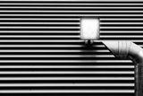 Stripes Poster och Canvastavla