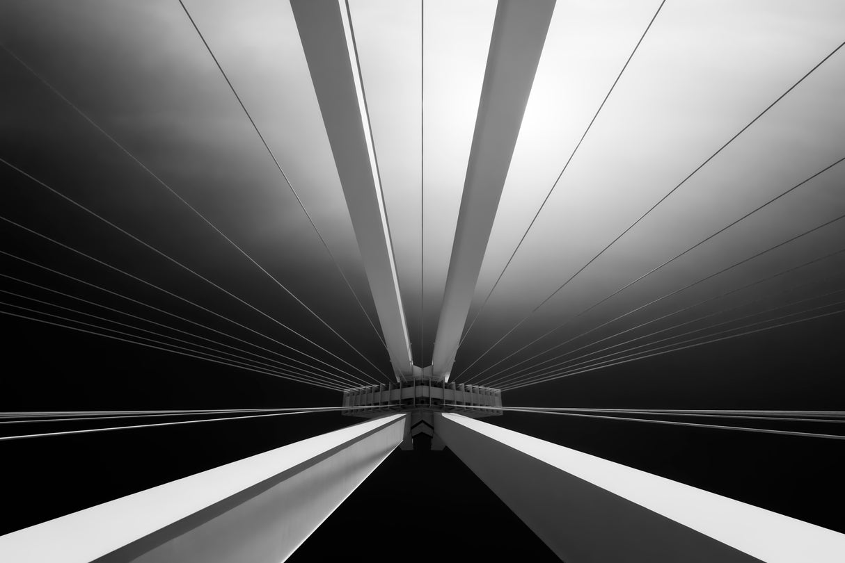 Pylon Bridge Poster och Canvastavla