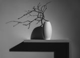 "From the life of a small shelf" Poster och Canvastavla
