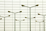 Fall Poster och Canvastavla