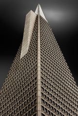 The spine  (La espina dorsal) Poster och Canvastavla