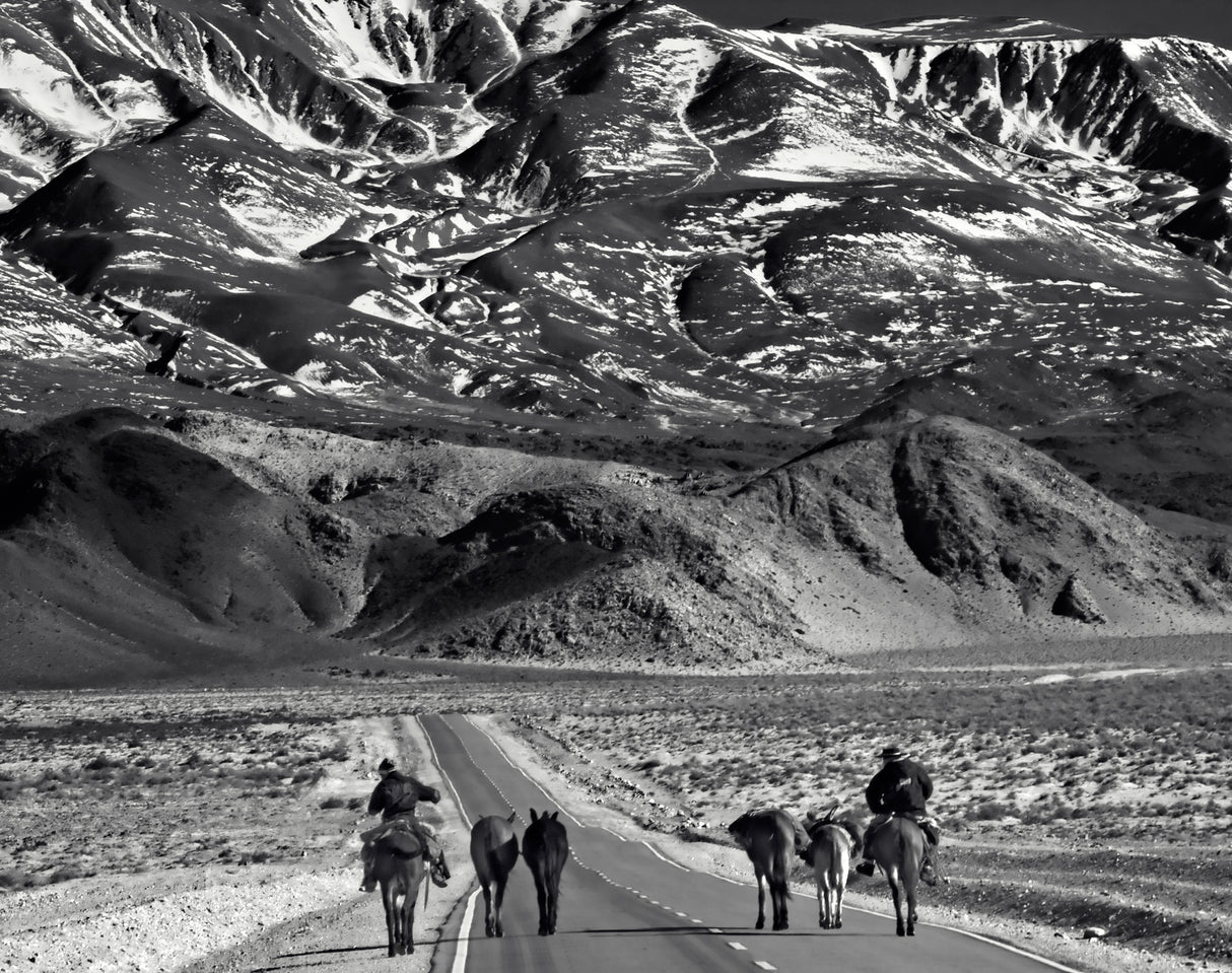 Going West Poster och Canvastavla