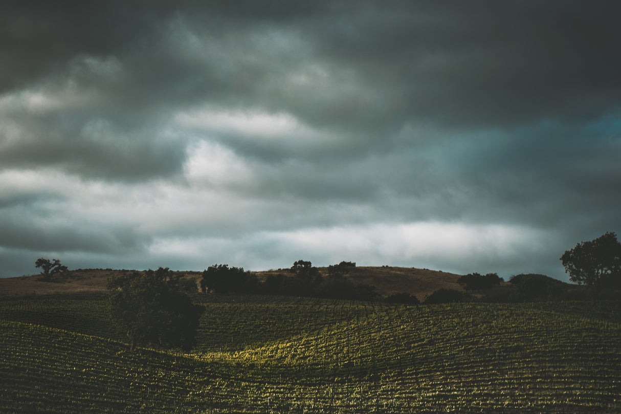 Hillside and Clouds Poster och Canvastavla