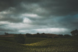 Hillside and Clouds Poster och Canvastavla