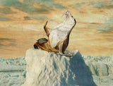Greetings From the Arctic Poster och Canvastavla