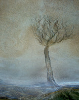 Lonely tree Poster och Canvastavla
