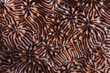 Hypnotic maze Poster och Canvastavla
