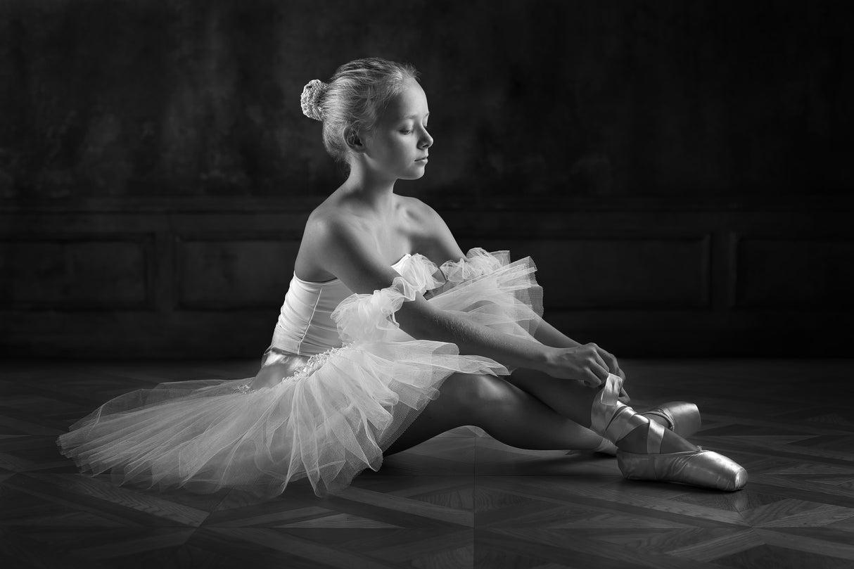 The little ballerina 1 Poster och Canvastavla