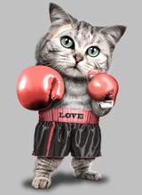 boxing cat Poster och Canvastavla