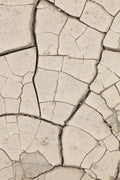 Clay wall_beige Poster och Canvastavla