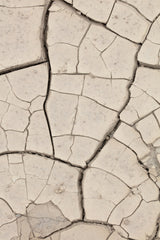 Clay wall_beige Poster och Canvastavla