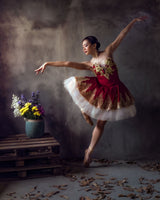 Ballerina Poster och Canvastavla