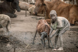 Mundari child herder Poster och Canvastavla