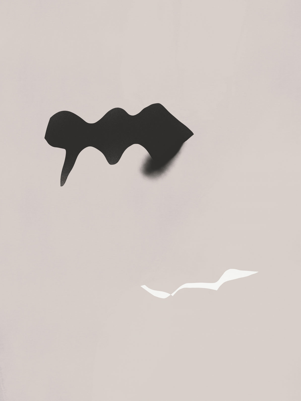 Black and White Shadow Poster och Canvastavla