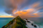 Nugget point lighthouse Poster och Canvastavla