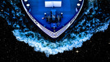Starship Poster och Canvastavla