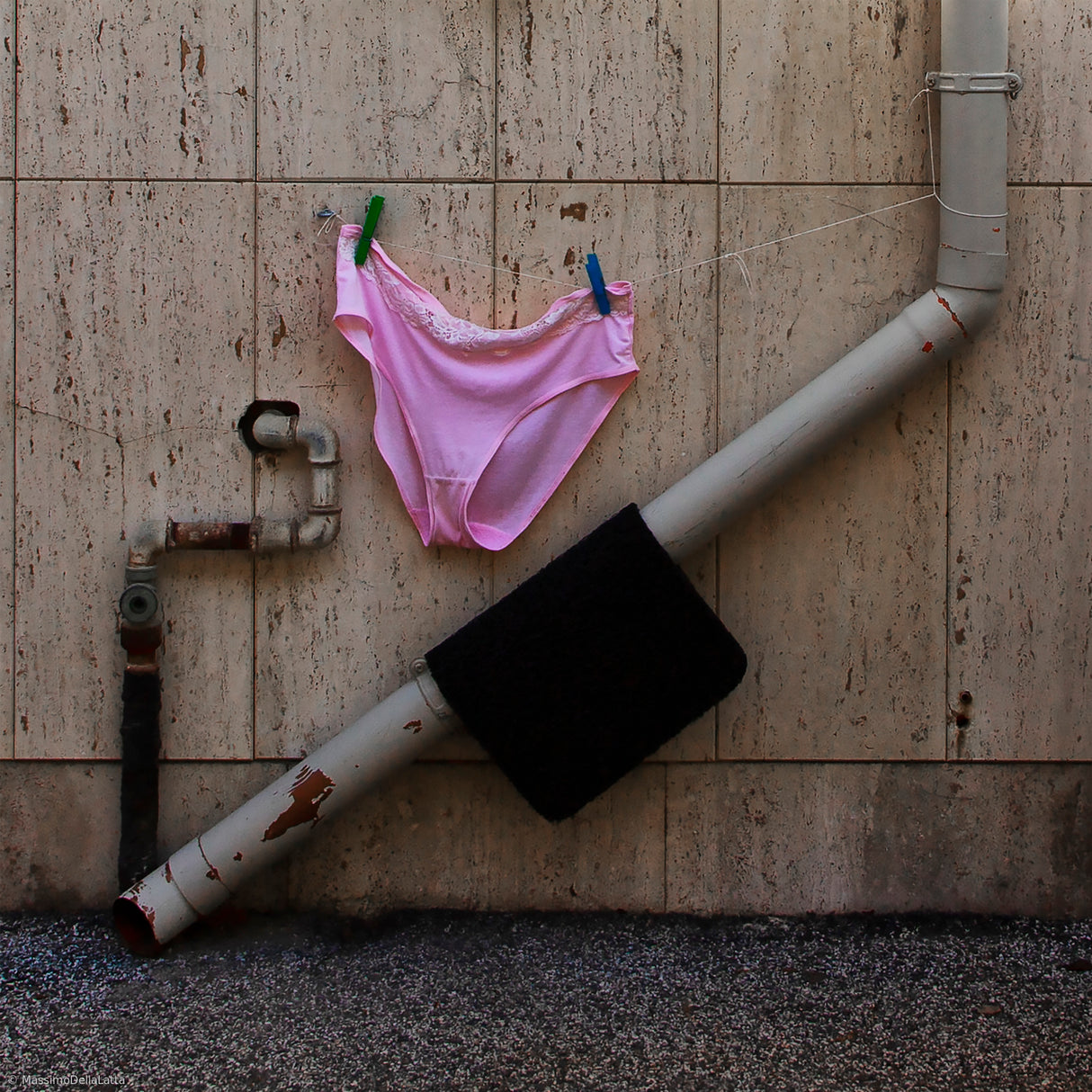 The pink panther Poster och Canvastavla