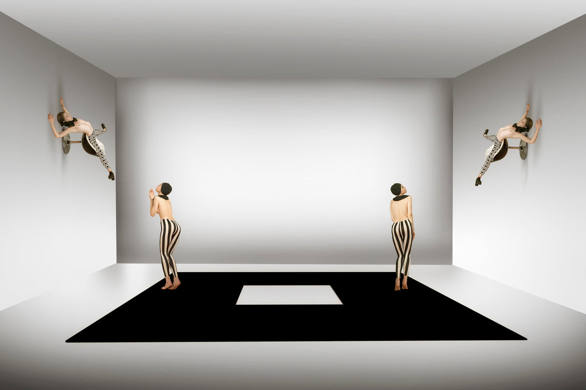 living interior Poster och Canvastavla