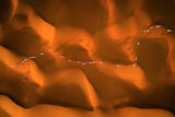 The path of camels across the sands Poster och Canvastavla