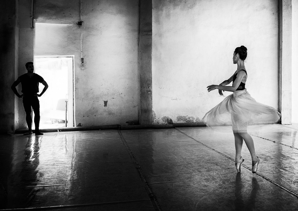 Ballerina Poster och Canvastavla