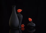 still life 104 Poster och Canvastavla