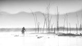 Fishing in a misty morning Poster och Canvastavla